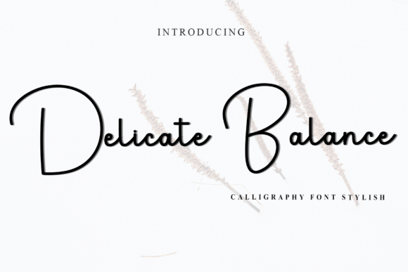 Delicate Balance Font for Campaign Design